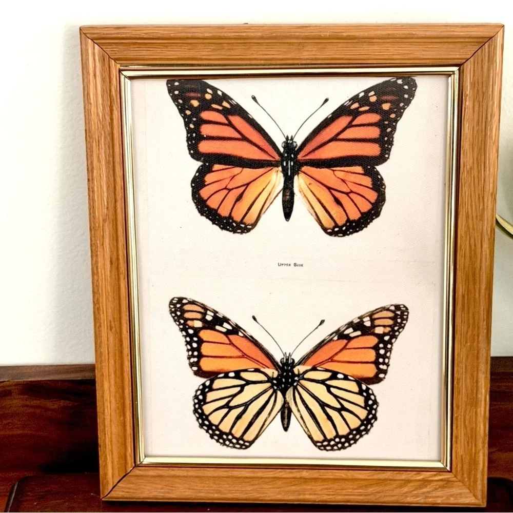 Monarch Butterfly Pair Vintage Style Canvas Art Print Wood Framed Wall Hang Art